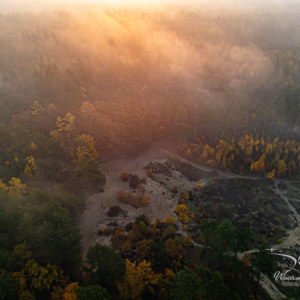 2025-11-07 - Zonsopkomst boven een mistig bos<br/>Veluwe - Nederland<br/>DJI Mini 3 Pro - 6.7 mm - f/1.7, 1/180 sec, ISO 130