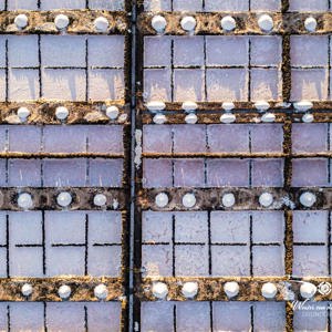 2025-10-25 - Bijzonder patroon van boven van het zout<br/>Salinas de Janubio - Yaiza - Spanje<br/>FC3582 - 6.7 mm - f/1.7, 1/400 sec, ISO 140