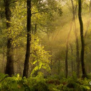 2024-09-07 - De S van Sunny<br/>Nederland<br/>Canon EOS R5 - 96 mm - f/8.0, 0.2 sec, ISO 100