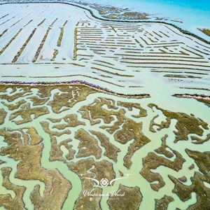 2023-05-06 - Labyrint-achtig estuarium (drone)<br/><br/>FC3582 - 6.7 mm - f/1.7, 1/1600 sec, ISO 100