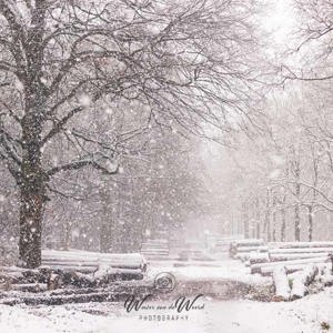 2023-01-20 - Hevige sneeuw in het bos<br/>Kaapse Bossen - Doorn - Nederland<br/>Canon EOS R5 - 70 mm - f/5.6, 1/200 sec, ISO 3200