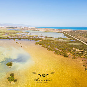 2023-04-21 - Natuurgebied bij zee (drone)<br/><br/>FC3582 - 6.7 mm - f/1.7, 1/1600 sec, ISO 100