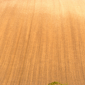 2014-04-10 - Steile landbouwgrond<br/>Opaalkust - Omgeving Cap Blanc Nez - Frankrijk<br/>Canon EOS 5D Mark III - 175 mm - f/11.0, 1/60 sec, ISO 200