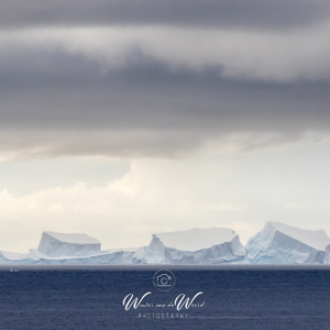 2017-01-02 - Enorme ijsbergen<br/>Bransfield Strait - Antarctica<br/>Canon EOS 7D Mark II - 350 mm - f/8.0, 1/1000 sec, ISO 400