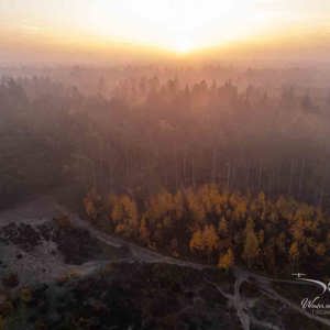 2025-11-07 - Sprookjesbos<br/>Veluwe - Nederland<br/>DJI Mini 3 Pro - 6.7 mm - f/1.7, 1/250 sec, ISO 100