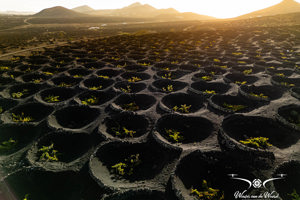 Lanzarote - Spanje 2025