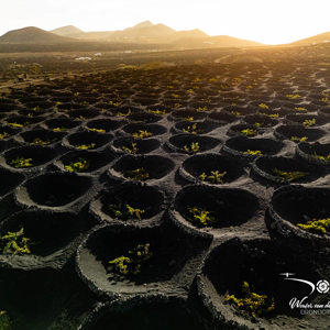 2025-10-26 - Sfeervolle zonsopkomst boven de wijnranken<br/>Wijngebied - La Geria - Spanje<br/>FC3582 - 6.7 mm - f/1.7, 1/1000 sec, ISO 130
