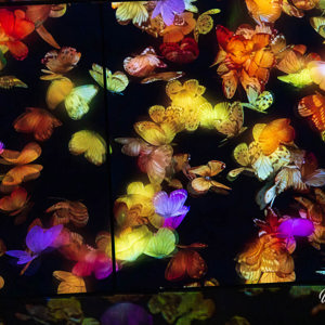 2026-02-09 - Vrolijke vlinders<br/>teamLab Borderless: MORI Buildin - Tokio - Japan<br/>Canon EOS R5m2 - 70 mm - f/4.0, 0.01 sec, ISO 12800