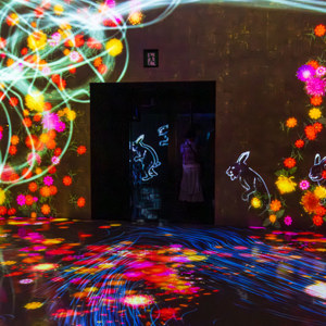 2026-02-09 - Grappige voorbij-hoppende konijnen<br/>teamLab Borderless: MORI Buildin - Tokio - Japan<br/>Canon EOS R5m2 - 35 mm - f/4.0, 0.05 sec, ISO 12800