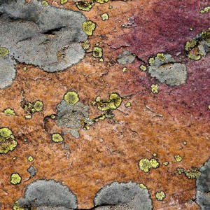 2009-04-23 - Gekleurde rots met mos<br/>Vlakbij Guadalupe - Spanje<br/>Canon EOS 50D - 82 mm - f/14.0, 0.01 sec, ISO 200