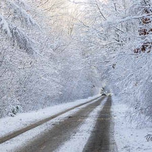 2026-01-04 - Weg door een winter wonderland<br/>Bornia -Heidestein - Zeist - Nederland<br/>Canon EOS R6m2 - 100 mm - f/5.0, 1/500 sec, ISO 800