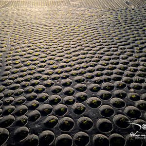 2025-10-26 - Bijzonder patroon van de wijnranken in de kuilen<br/>Wijngebied - La Geria - Spanje<br/>FC3582 - 6.7 mm - f/1.7, 1/500 sec, ISO 130