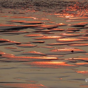 2026-08-05 - Zand-structuren met mooi licht (foto: Carin)<br/><br/>Canon PowerShot SX70 HS - 125 mm - f/5.6, 1/400 sec, ISO 100