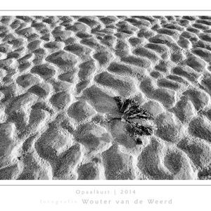 2014-04-09 - Patronen in het zand<br/>Opaalkust - Cap Gris Nez - Frankrijk<br/>Canon EOS 5D Mark III - 22 mm - f/16.0, 1/15 sec, ISO 200