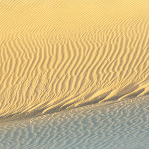 2021-11-02 - Lijnenspel in het zand<br/>Las Dunas de Maspalomas - Maspalomas - Gran Canaria - Spanje<br/>Canon EOS 5D Mark III - 200 mm - f/8.0, 1/125 sec, ISO 400