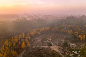 Herfstbos - Nederland 2025
