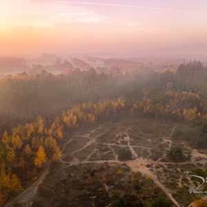 2025-11-07 - Betovernde zonsopkomst boven het bos en weiland<br/>Veluwe - Nederland<br/>DJI Mini 3 Pro - 6.7 mm - f/1.7, 1/640 sec, ISO 100