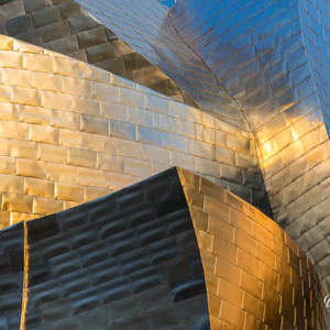 Frank Gehry Architectuur 2015 05 07 1914 5Dmk3