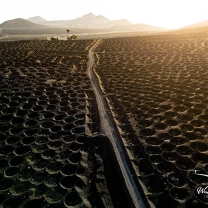 2025-10-26 - Zonsopkomst boven de wijnrank-kuilen<br/>Wijngebied - La Geria - Spanje<br/>FC3582 - 6.7 mm - f/1.7, 1/1250 sec, ISO 150