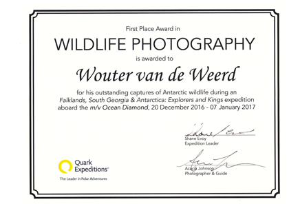 Wouter Van De Weerd Antarctica First Place Wildlife Photography 12 2017