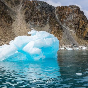 2017-01-01 - Mooi contrast, het blauwe ijs en de geel-bruine rots<br/>Chinstrap Camp - Elephant Island - Antarctica<br/>Canon EOS 5D Mark III - 35 mm - f/8.0, 1/640 sec, ISO 200