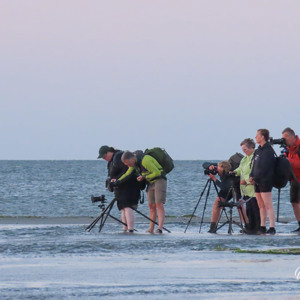 2026-08-05 - Wouter en andere fotografen met statieven aan de slag (foto: Carin)<br/><br/>Canon PowerShot SX70 HS - 61.1 mm - f/5.6, 1/250 sec, ISO 800