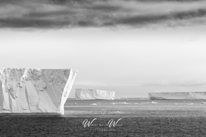Antarctica in zwart-wit