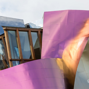 Frank Gehry Architectuur 2015 05 05 1607 5Dmk3