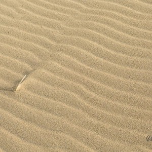 2021-03-12 - Ribbels en een stokje in het zand<br/>Strand - Kijkduin - Nederland<br/>Canon EOS 5D Mark III - 66 mm - f/11.0, 1/80 sec, ISO 200