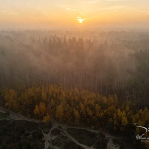 2025-11-07 - Mistflarden, gele bomen en de zon<br/>Veluwe - Nederland<br/>DJI Mini 3 Pro - 6.7 mm - f/1.7, 1/1000 sec, ISO 100