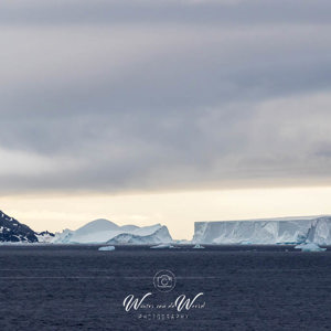 2017-01-02 - Het zachte avondlicht is mooi bij de ijsbergen<br/>Bransfield Strait - Antarctica<br/>Canon EOS 7D Mark II - 285 mm - f/8.0, 1/1000 sec, ISO 400