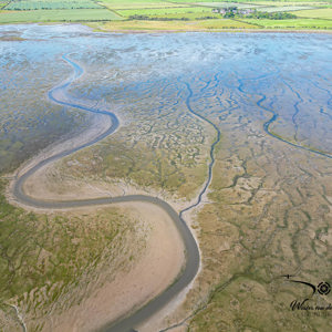 2023-06-19 - Estuarium grenzend aan groen landschap<br/>Belford - Engeland<br/>FC3582 - 6.7 mm - f/1.7, 1/800 sec, ISO 100