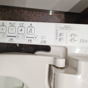 2026-02-08 - De wc heeft alle mogelijke opties<br/>Narita Airport - Tokio - Japan<br/>SM-G981B - 5.4 mm - f/1.8, 0.02 sec, ISO 125