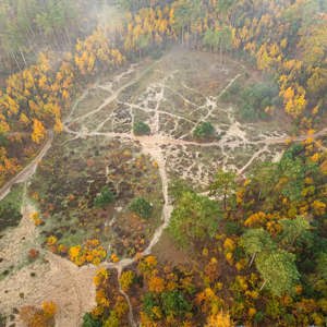 2025-11-07 - Open plek in het bos met veel geelgekleurde bomen<br/>Veluwe - Nederland<br/>DJI Mini 3 Pro - 6.7 mm - f/1.7, 0.05 sec, ISO 110