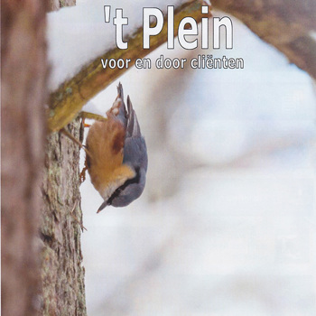 Cover Van T Plein Van Sheeren Loo Winter 2015 2016