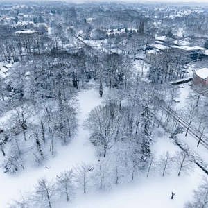 2026-01-05 - Utrechtseweg richting Zeist winter 2026 - photoItem.Description<br/>Utrechtseweg - Zeist - Netherlands<br/>FC9313 - 8.7 mm - f/1.8, 1/800 sec, ISO 100