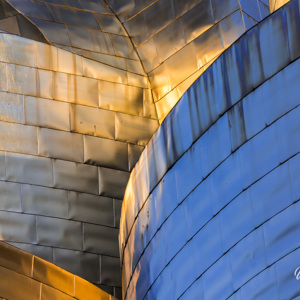 Frank Gehry Architectuur 2015 05 07 1908 5Dmk3