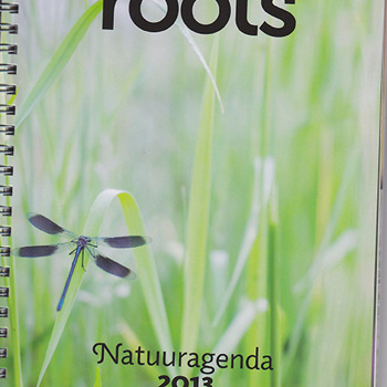 Roots Agenda 2013 1