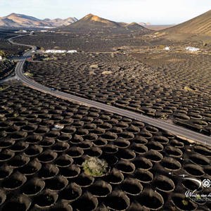 2025-10-26 - Vrijwel al het land is omgevormd tot wijnrank-kuil<br/>Wijngebied - La Geria - Spanje<br/>FC3582 - 6.7 mm - f/1.7, 1/800 sec, ISO 110