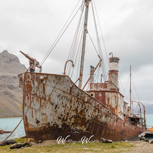 2016-12-27 - Overblijfselen van de walvisvaart<br/>Grytviken - Zuid-Georgia<br/>Canon EOS 5D Mark III - 29 mm - f/8.0, 1/80 sec, ISO 400