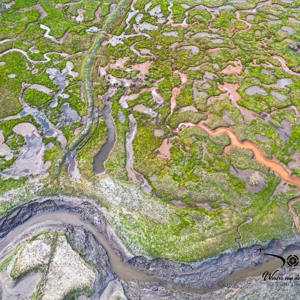 2023-06-24 - Groene water planten en het water geven kleur (drone)<br/>Billingham - Engeland<br/>FC3582 - 6.7 mm - f/1.7, 1/240 sec, ISO 100