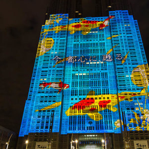 2026-02-11 - Mooie projectie op het gebouw<br/>Tokyo Metropolitan Government Pl - Tokio - Japan<br/>Canon EOS R5m2 - 23 mm - f/4.0, 1/60 sec, ISO 5000