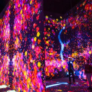 2026-02-09 - Geprojecteerde kleurige bioemen<br/>teamLab Borderless: MORI Buildin - Tokio - Japan<br/>Canon EOS R5m2 - 24 mm - f/5.6, 0.3 sec, ISO 12800