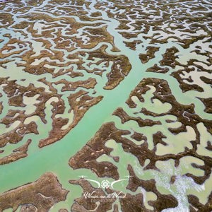 2023-05-06 - Labyrint-achtig estuarium (drone)<br/><br/>FC3582 - 6.7 mm - f/1.7, 1/2000 sec, ISO 100