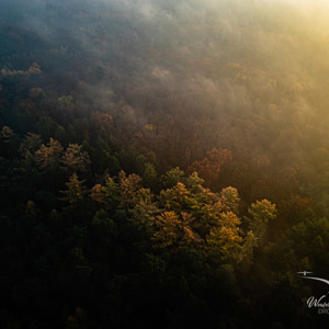 2025-11-07 - De eerste zonnestralen op de boomtoppen<br/>Veluwe - Nederland<br/>DJI Mini 3 Pro - 6.7 mm - f/1.7, 1/500 sec, ISO 100